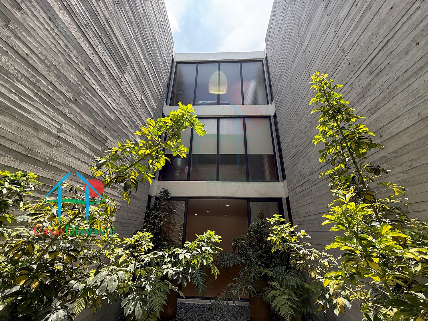 Las Aguilas Ursus AJA - Jardín Zen 6